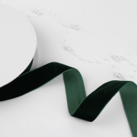 Лента бархатная, 25 мм, 18 &plusmn; 1 м, цвет зелёный №165