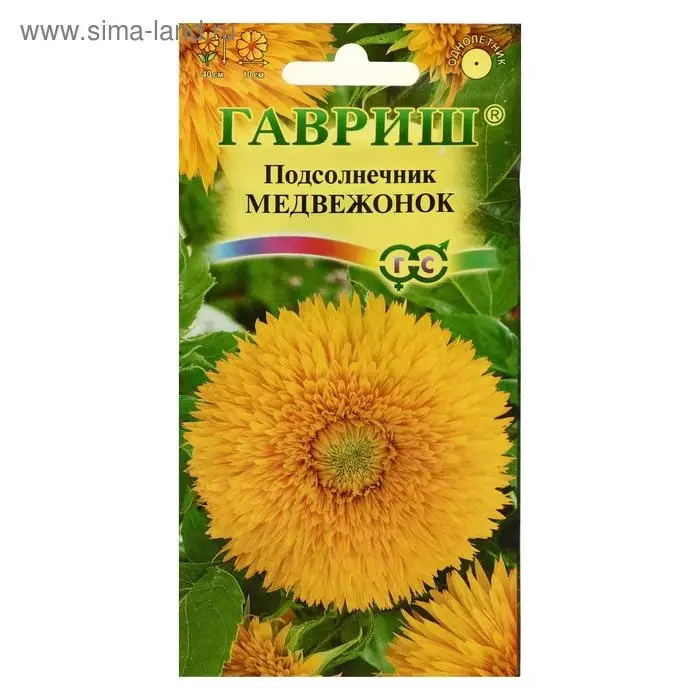 Семена цветов Подсолнечник &laquo;Медвежонок&raquo;, &laquo;Гавриш&raquo;, 0.5 г