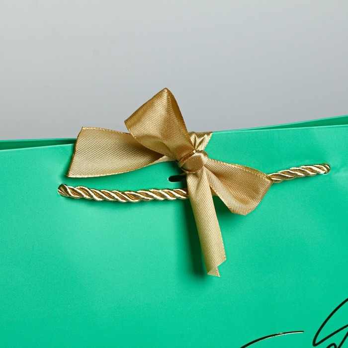 Пакет подарочный, упаковка, &laquo;Можно всё&raquo;, 30 х 27.5 х 12 см