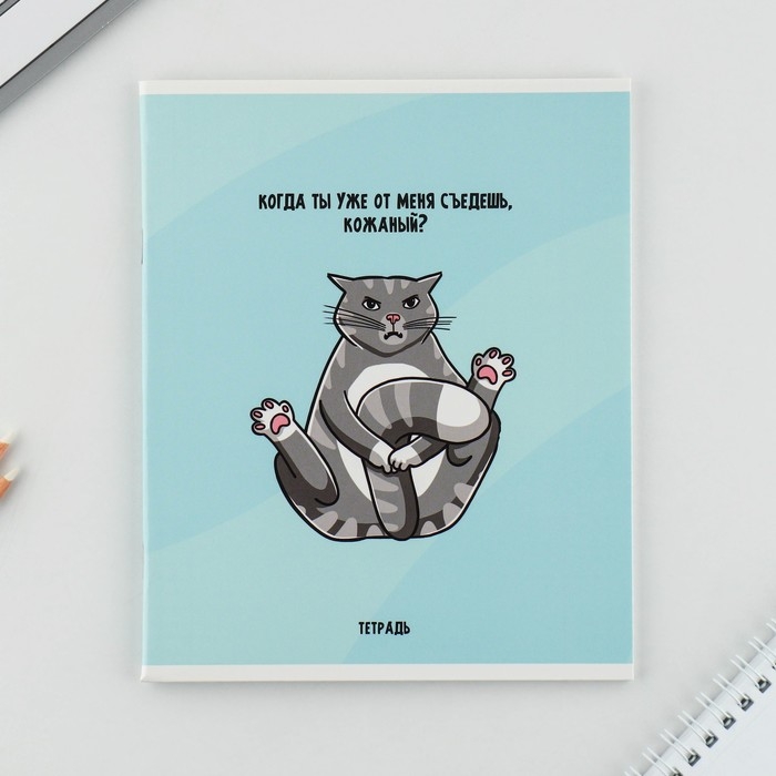 Тетрадь в клетку, 48 листов А5 на скрепке МИКС &laquo;1 сентября: Котики&raquo;, обложка мелованный картон 230 гр внутренний блок №1, белизна 96%