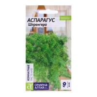 Семена Аспарагус "Шпренггера", ц/п, 5 шт Семена Аспарагус "Шпренггера", ц/п, 5 шт