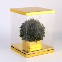 Коробка для цветов с вазой и PVC окнами складная, 23 х 30 х 23 см, золото Коробка для цветов с вазой и PVC окнами складная, 23 х 30 х 23 см, золото