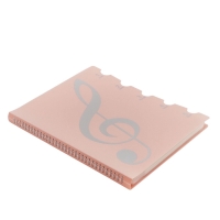 Нотная папка - 30 файлов 60 листов розовая