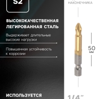 Биты ТУНДРА, намагниченные, сталь S2, 58-60 HRC, TiN, PH2 х 50 мм, 2 шт.