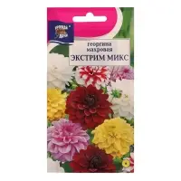 Набор семян Цв Георгина Смесь "Экстрим", 5 шт.