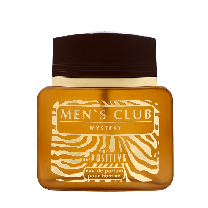 Парфюмерная вода мужская MEN`S CLUB MYSTERY, 90 мл