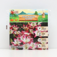 Лилия гибридная &laquo;ЛоллиПоп&raquo;, луковица в пакете с перфорацией, р-р 14/16, 2 шт.