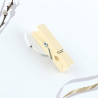 Набор прищепок для украшения вербы «Цыплята» на пасху, 10 х 12 см. Набор прищепок для украшения вербы «Цыплята» на пасху, 10 х 12 см.