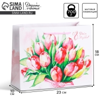 Пакет подарочный ламинированный горизонтальный, упаковка, &laquo;8 марта&raquo;, MS 18 х 23 х 8 см