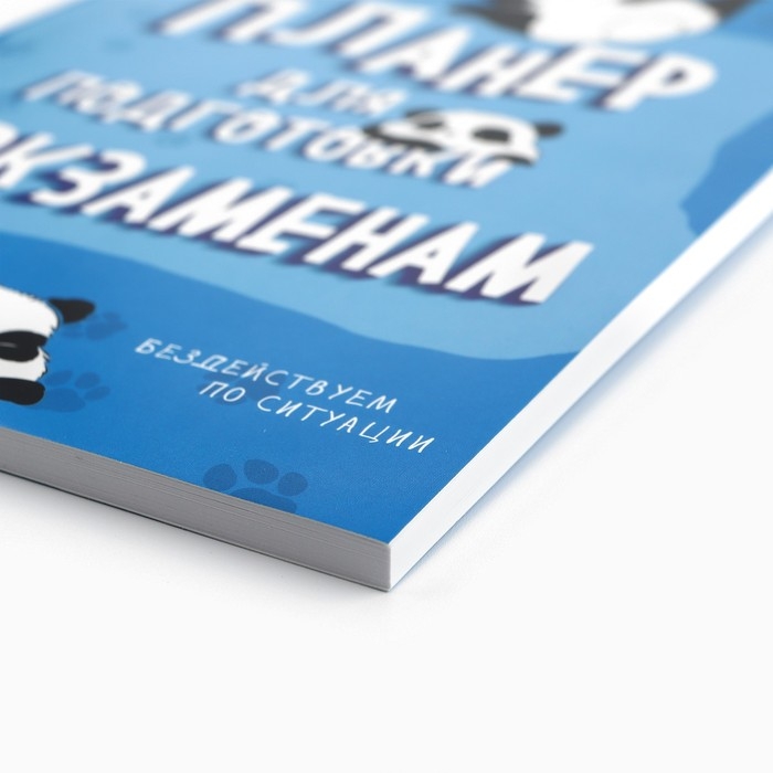 Планинг для подготовки к экзаменам, А5 60 л. Мягкая обложка &laquo;Панда&raquo;