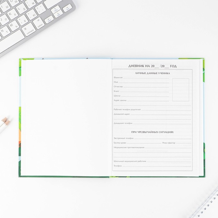 Дневник школьный 1-4 класс &laquo;1 сентября:Пират&raquo;, твердая обложка 7БЦ, глянцевая ламинация, 48 листов