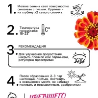 Семена цветов Цинния "Сомбреро", 0,2 г