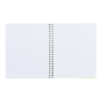 Тетрадь на гребне A5 96 листов в клетку Calligrata Зелёная, пластиковая обложка, блок офсет Тетрадь на гребне A5 96 листов в клетку Calligrata Зелёная, пластиковая обложка, блок офсет