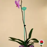 Опора для орхидей, h=44 см, пластик, бирюзовая, МИКС