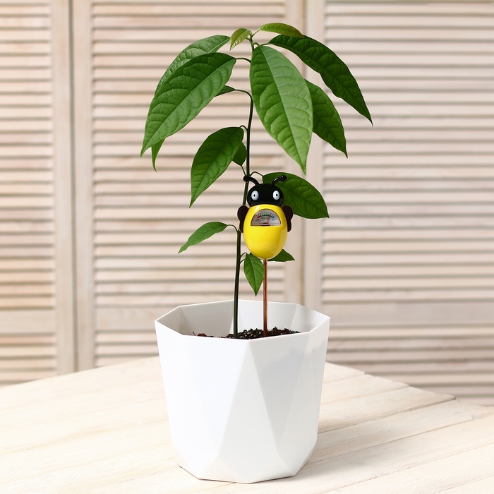 Измеритель влажности почвы &laquo;Пчёлка&raquo;