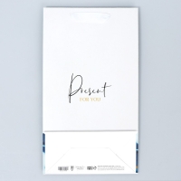 Пакет подарочный под две бутылки, упаковка, &laquo;Present for you&raquo;, 35 х 20 х 9 см