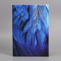 Папка для семейных документов &laquo;Docs&raquo;, 8 файлов А4