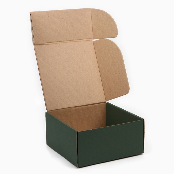 Коробка складная &laquo;Ботаника&raquo;, 24 х 24 х 12 см