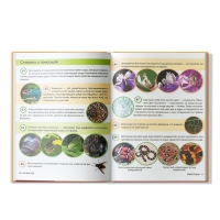 Энциклопедия «200 фактов о животных», 48 стр. Энциклопедия «200 фактов о животных», 48 стр.