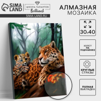 Алмазная мозаика с полным заполнением на подрамнике &laquo;Леопарды&raquo;, 30 x 40 см