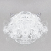 Карнавальная борода «Дед Мороз», 20 г, 23 см Карнавальная борода «Дед Мороз», 20 г, 23 см