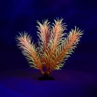 Растение искусственное аквариумное, светящееся, 10 см, красное Растение искусственное аквариумное, светящееся, 10 см, красное