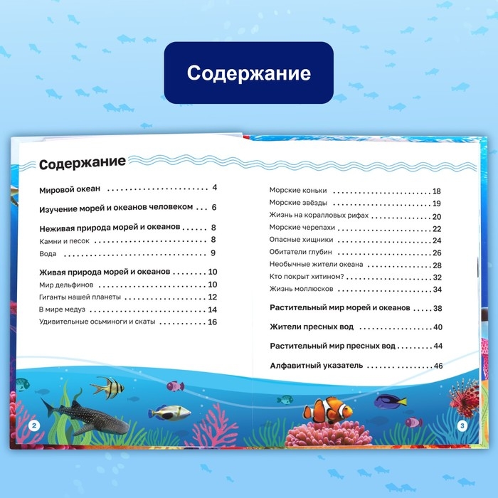 Энциклопедия в твёрдом переплёте &laquo;Подводный мир&raquo;, 48 стр.