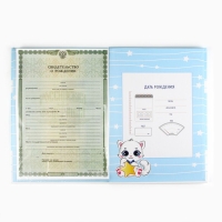 Папка для документов набор &laquo;Мои первые документы&raquo;, 23,5 х 31,3 см