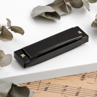 Губная гармошка Music Life, диатоническая, C-major, с футляром, черная Губная гармошка Music Life, диатоническая, C-major, с футляром, черная