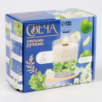 Свеча своими руками. Создание ароматической свечи с сухоцветами &laquo;Зеленое яблоко&raquo;, набор для творчества