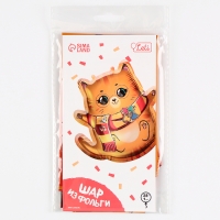 Воздушный шар фольгированный 28" &laquo;Котик-волшебник&raquo;, с подложкой