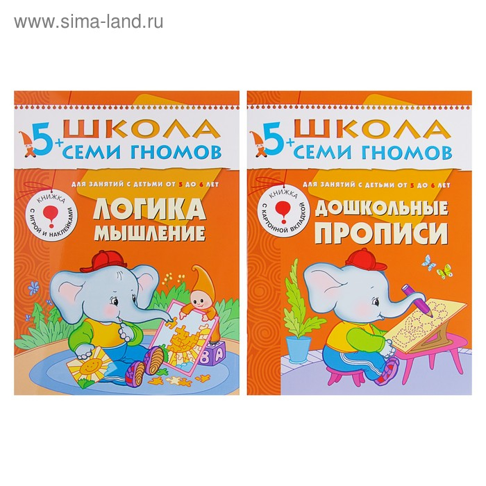 Полный годовой курс от 5 до 6 лет. 12 книг с играми и наклейками. Денисова Д.