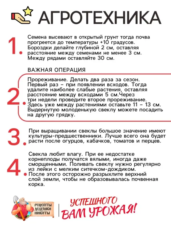 Семена Свекла столовая "Червона Кула", 2 г