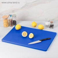 Доска профессиональная разделочная Доляна, 60&times;40 см, цвет синий