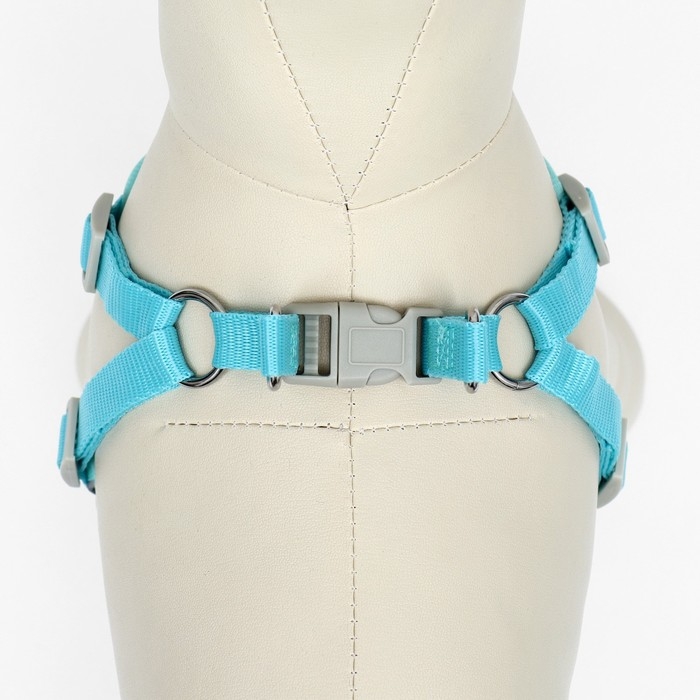 Комплект с мягкой шлейкой, быстросъемный, S, поводок 140 см, ОШ 39-41 см, ОГ 44-48 см, бирюзовый