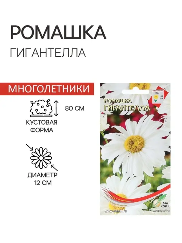 Семена Ромашка "Гигантелла",  70 шт