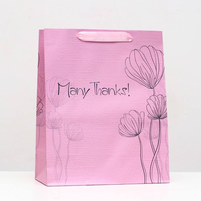 Пакет ламинированный «Many thanks» 26 x 32 x 12 см Пакет ламинированный «Many thanks» 26 x 32 x 12 см