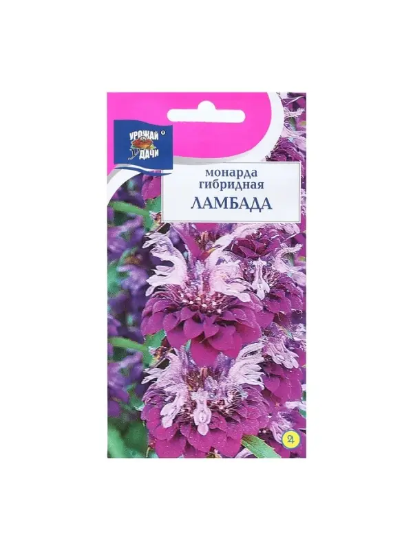 Семена цветов Монарда гибридная "Ламбада", 0,03 г