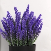 Бонсай в горшке "Лаванда" 9х18 см, микс Бонсай в горшке "Лаванда" 9х18 см, микс