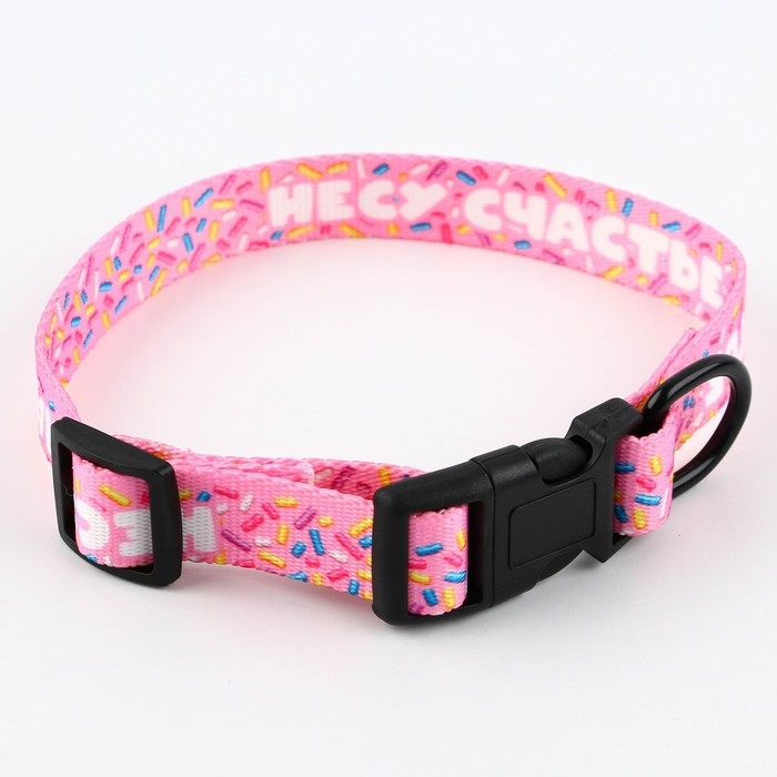 Ошейник &laquo;Несу счастье&raquo;, застёжка - фастекс, 2 см 25-40 см