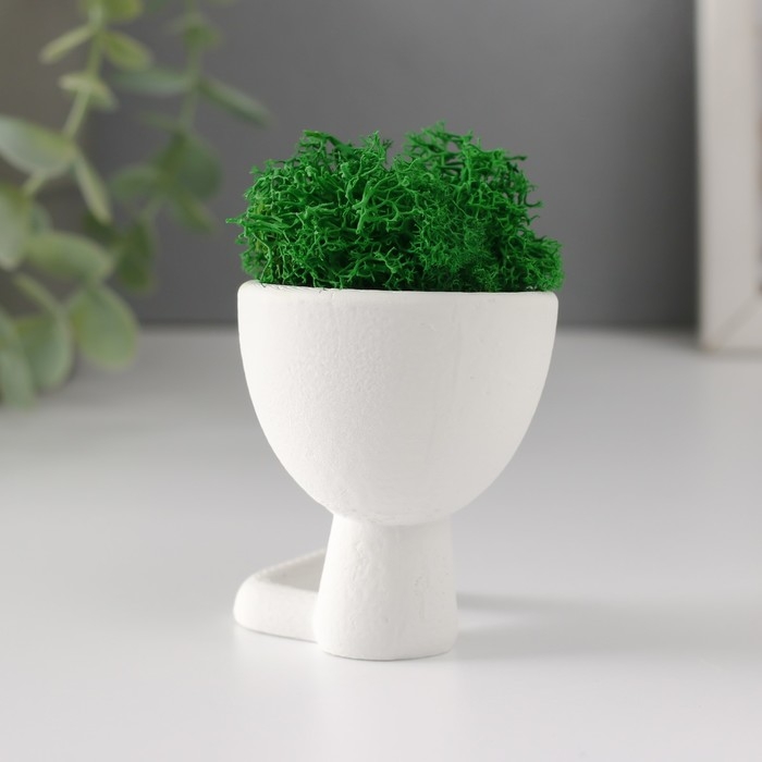 Стабилизированный мох в кашпо из бетона &laquo;Мистер Грин Мидзару&raquo;, мини, 5.5&times;6.5&times;6.5 см, белый