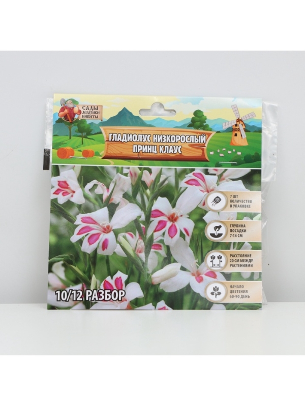 Гладиолус Низкорослый &laquo;Принц Клаус&raquo;, луковица цветов в пакете с перфорацией, р-р 10+, 7 шт.