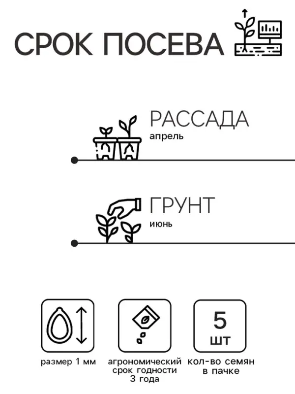 Семена цветов Ковыль "Фейерверк", 5 шт.