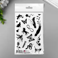 Татуировка на тело "Dreamer" 10х15 см