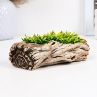 Кашпо - бонсай "Дерево" 17х9х6см Кашпо - бонсай "Дерево" 17х9х6см