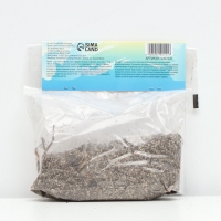 Лилия Азиатская Кашпо Trendy Santiago, луковица в пакете с перфорацией, р-р 12/14, 2 шт. Лилия Азиатская Кашпо Trendy Santiago, луковица в пакете с перфорацией, р-р 12/14, 2 шт.