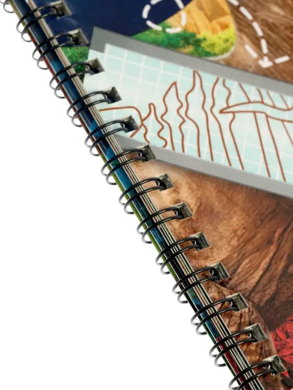 Книга-сканер "Диномир"