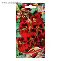 Семена цветов  Настурция "Черный Бархат", 9 шт