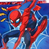 Пакет подарочный &laquo;Супергерой&raquo;, 22 &times; 22 &times; 10 см