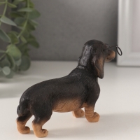 Сувенир полистоун "Такса в очках" 11,5х4х7,5 см Сувенир полистоун "Такса в очках" 11,5х4х7,5 см